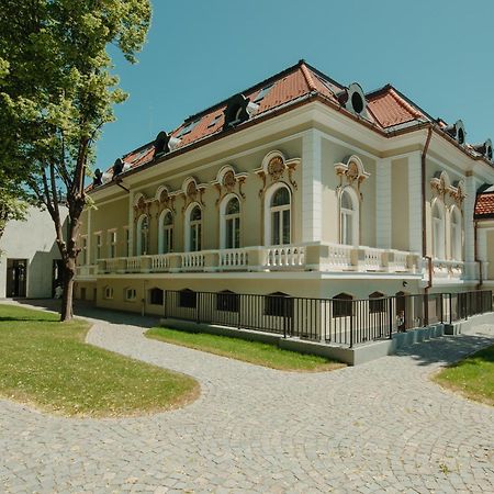 Boutique Hotel Cocosul De Aur Târgu-Mureş Екстериор снимка